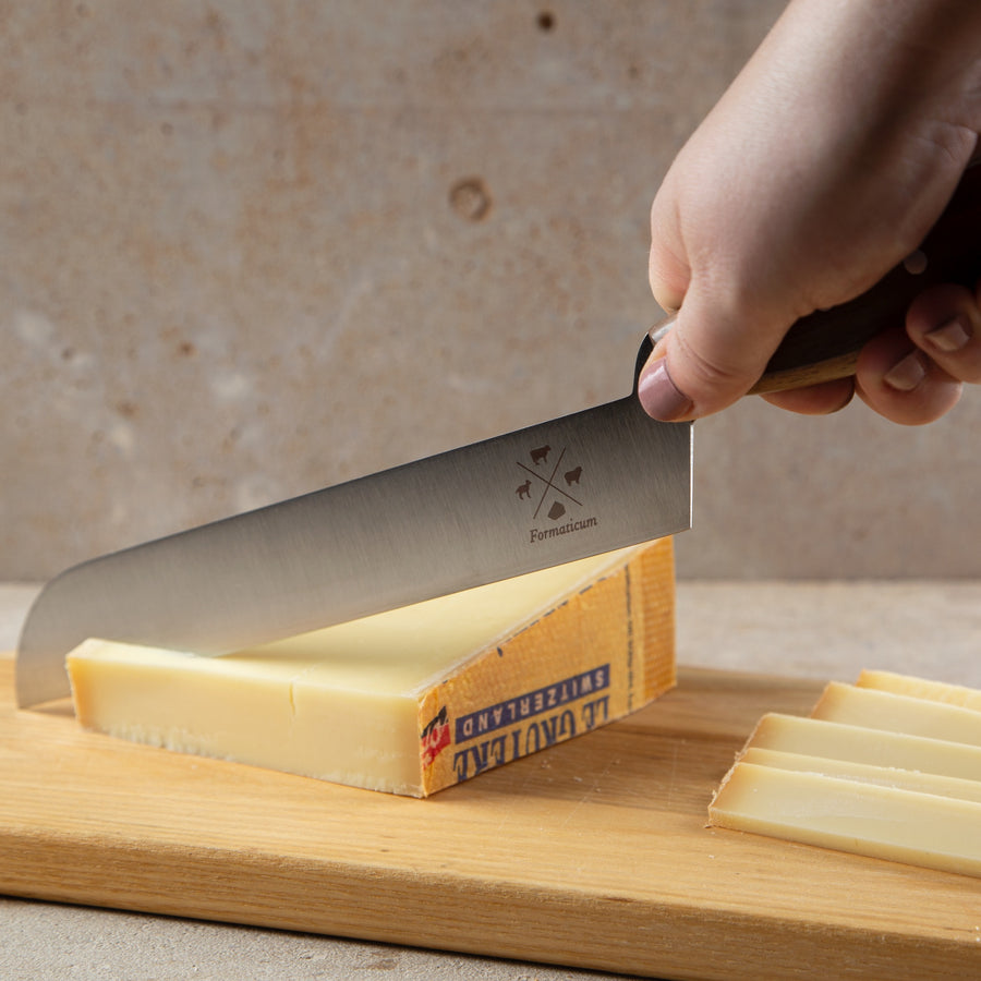 WÜSTHOF Cheese Knife